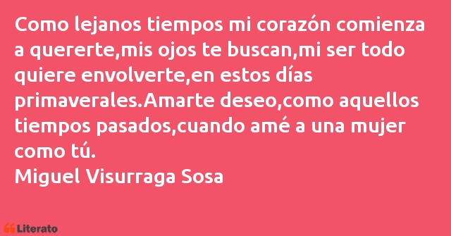 Frases de Miguel Visurraga Sosa