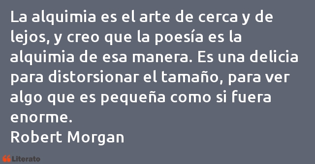 Frases de Robert Morgan