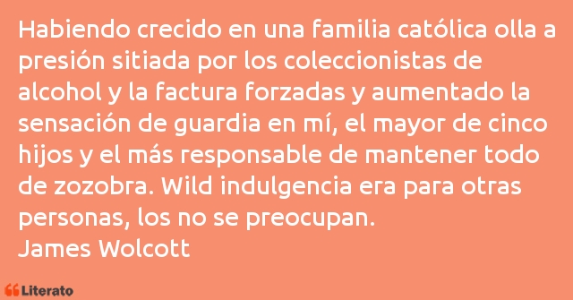 Frases de James Wolcott