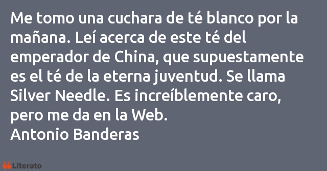 Frases de Antonio Banderas