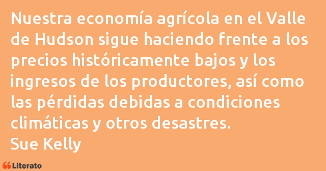 Frases de Sue Kelly