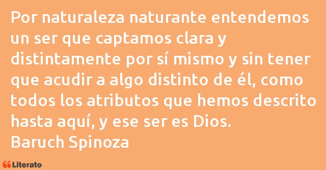 Frases de Baruch Spinoza