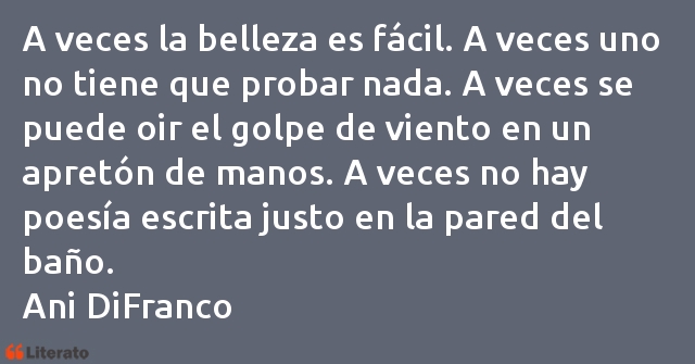 Frases de Ani DiFranco