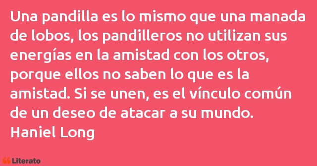 Frases de Haniel Long