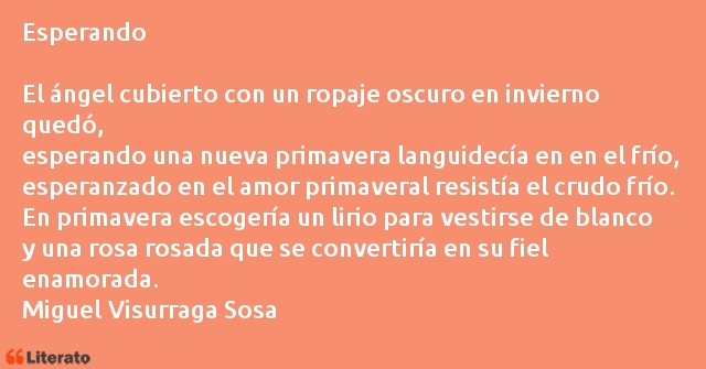 Frases de Miguel Visurraga Sosa