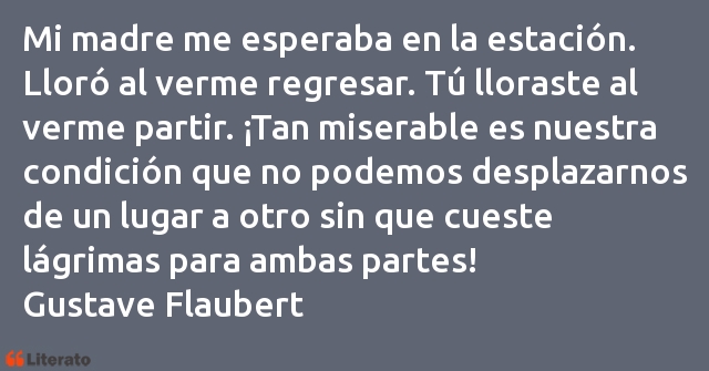 Frases de Gustave Flaubert