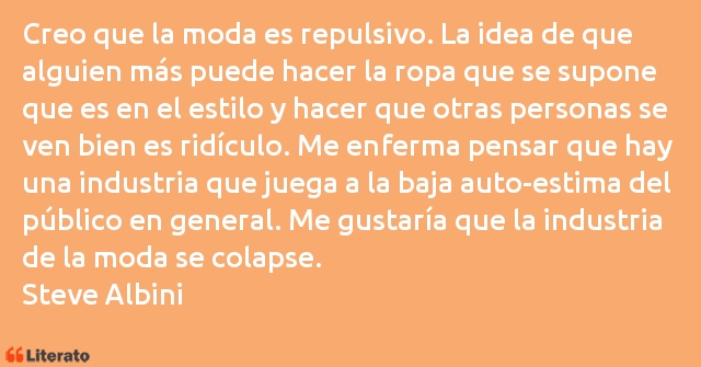 Frases de Steve Albini