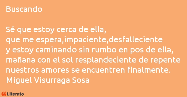 Frases de Miguel Visurraga Sosa