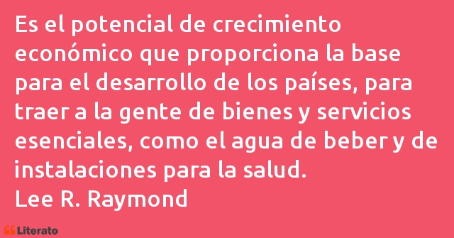 Frases de Lee R. Raymond