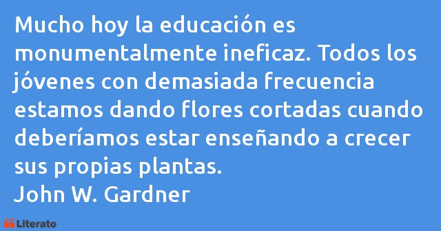 Frases de John W. Gardner