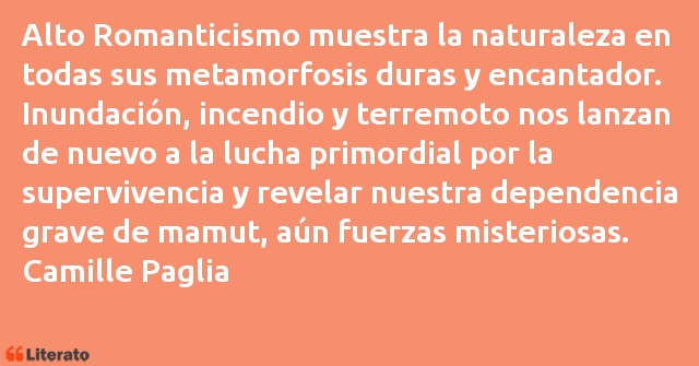 Frases de Camille Paglia