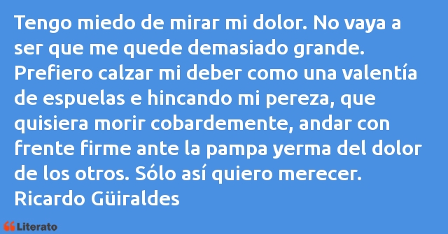 Frases de Ricardo Güiraldes