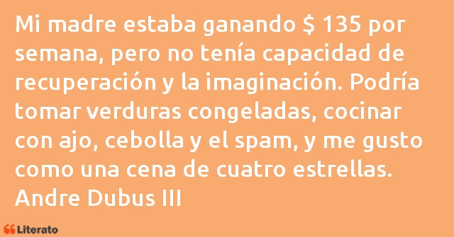Frases de Andre Dubus III