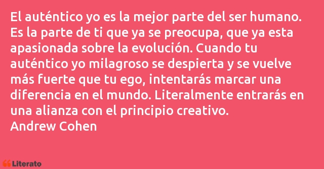 Frases de Andrew Cohen