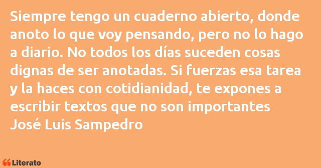 Frases de José Luis Sampedro