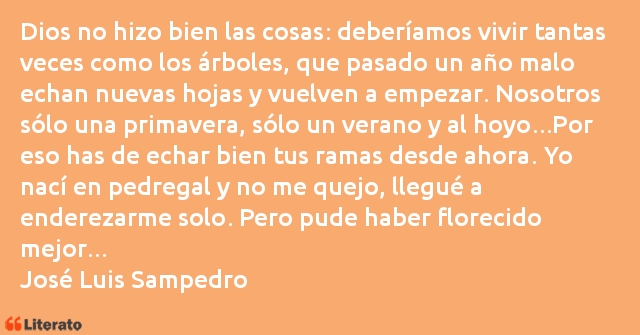 Frases de José Luis Sampedro