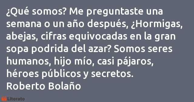 Frases de Roberto Bolaño