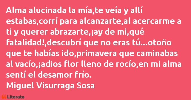 Frases de Miguel Visurraga Sosa