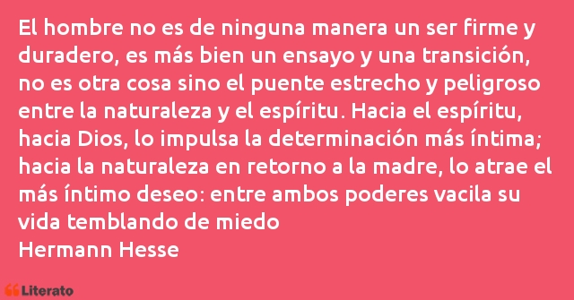 Frases de Hermann Hesse