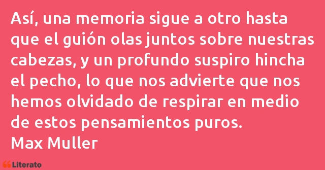 Frases de Max Muller