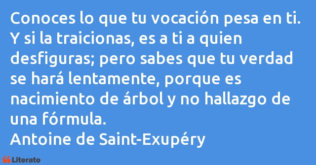 Frases de Antoine de Saint-Exupéry