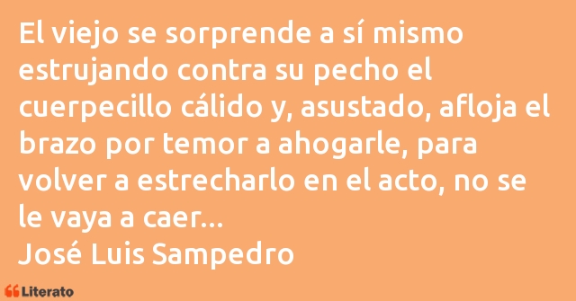 Frases de José Luis Sampedro