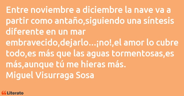 Frases de Miguel Visurraga Sosa