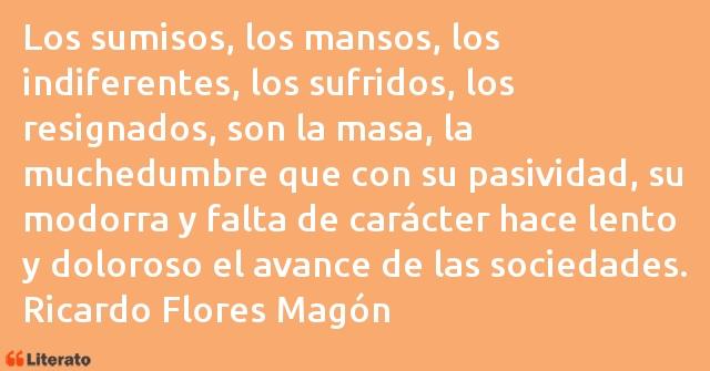 Frases de Ricardo Flores Magón