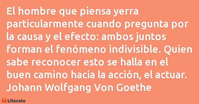 Frases de Johann Wolfgang Von Goethe