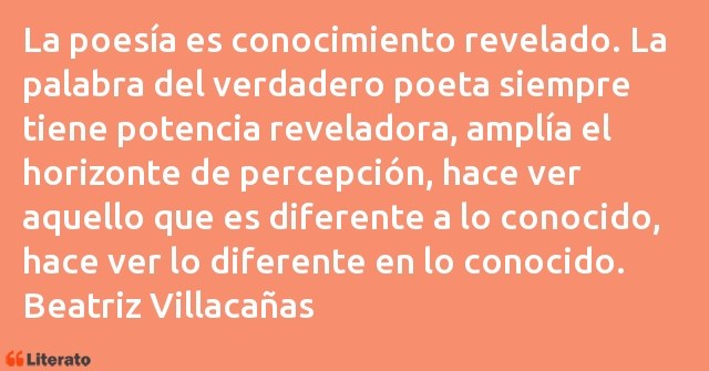 Frases de Beatriz Villacañas