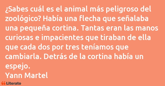 Frases de Yann Martel