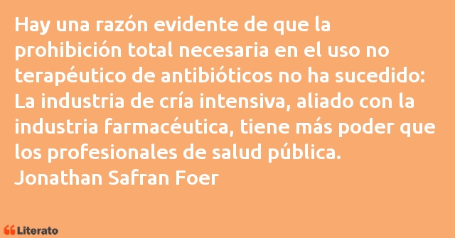 Frases de Jonathan Safran Foer