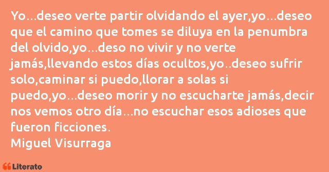 Frases de Miguel Visurraga