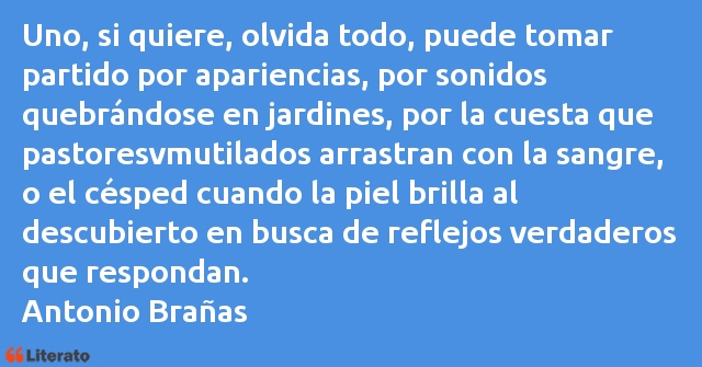 Frases de Antonio Brañas