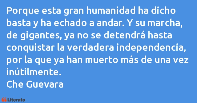 Frases de Che Guevara