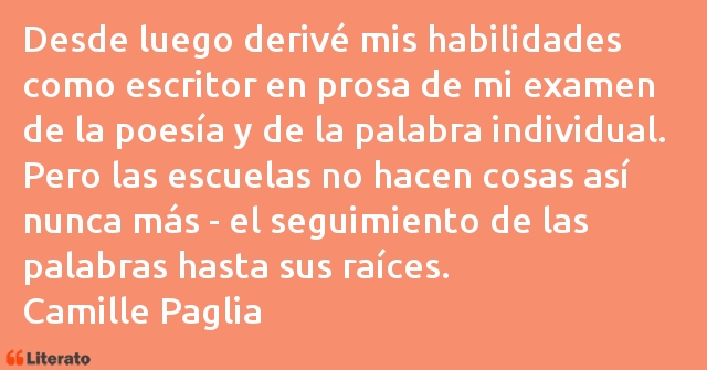 Frases de Camille Paglia