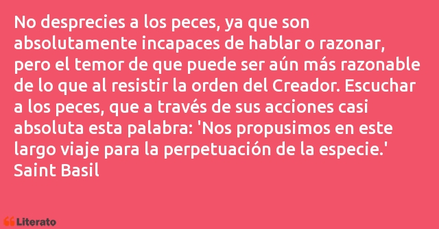 Frases de Saint Basil