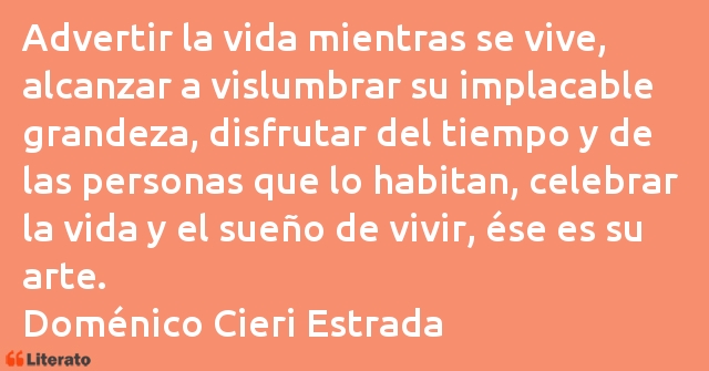 Frases de Doménico Cieri Estrada