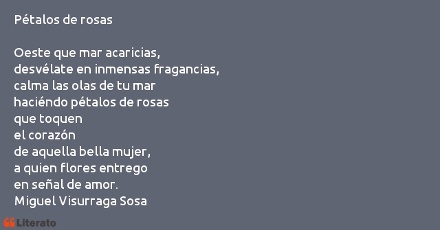 Frases de Miguel Visurraga Sosa