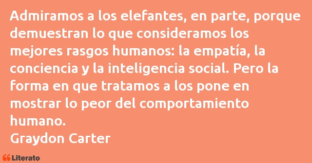 Frases de Graydon Carter