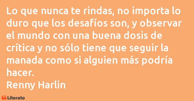 Frases de Renny Harlin