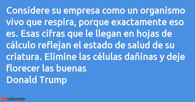 Frases de Donald Trump