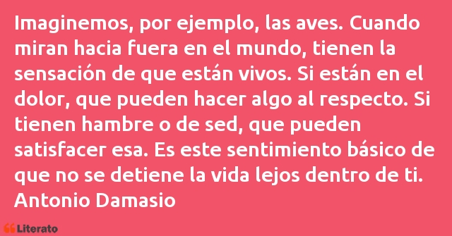 Frases de Antonio Damasio