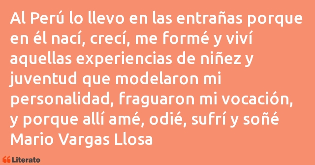 Frases de Mario Vargas Llosa