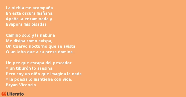 Frases de Bryan Vicencio