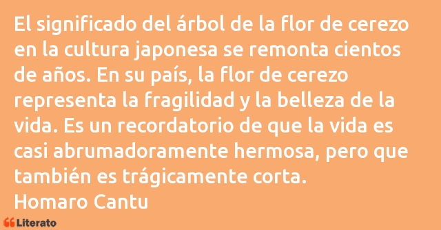 Frases de Homaro Cantu