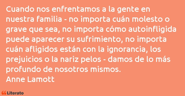 Frases de Anne Lamott