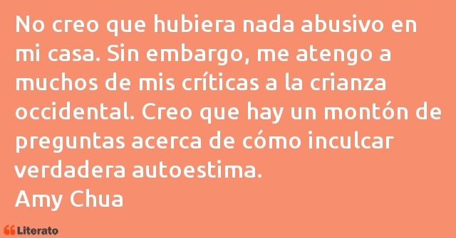 Frases de Amy Chua