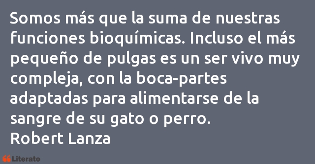 Frases de Robert Lanza