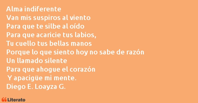 Frases de Diego E. Loayza G.